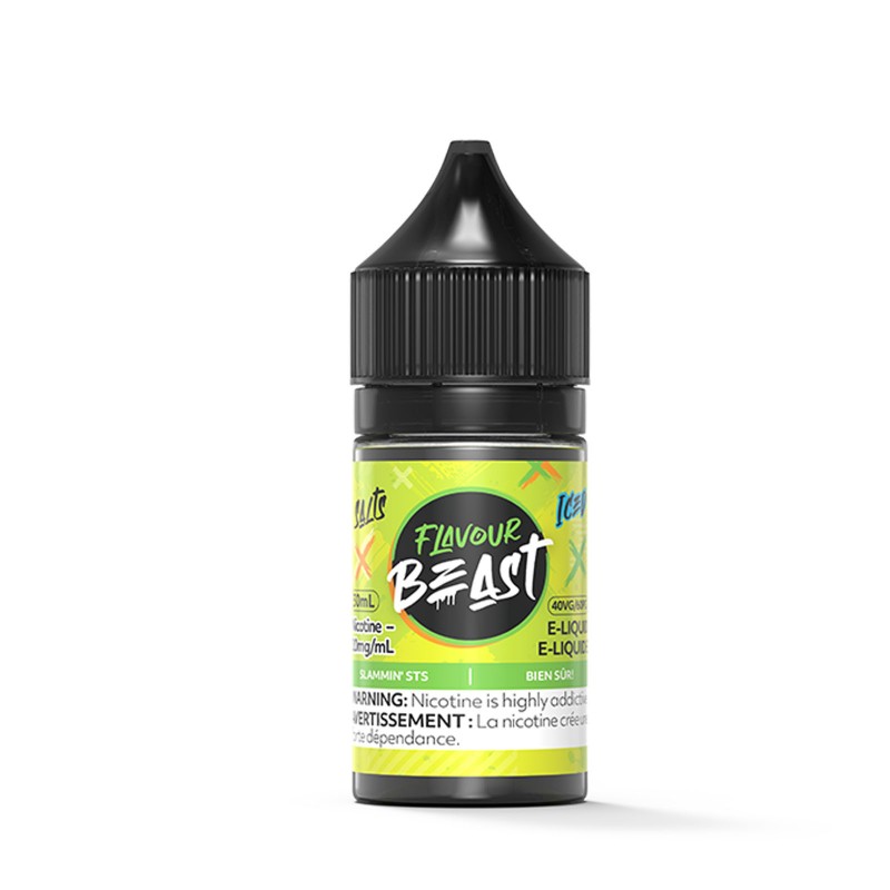 Slammin STS Iced SALT – Flavour Beast Salt E...